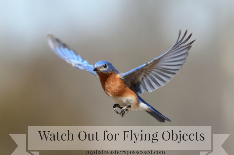 watch out for flying objects