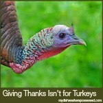 Giving Thanks Isn’t for Turkeys