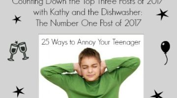 Counting Down the Top Three Posts of 2017 with Kathy and the Dishwasher: The Number One Post of 2017