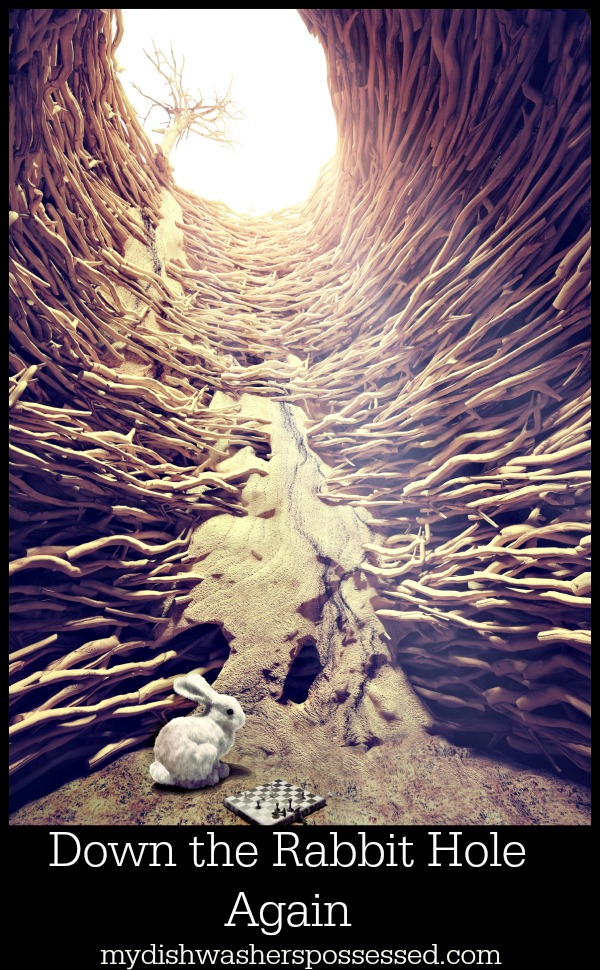 rabbit and chess in deep hole toward the sunlight. creative concept
