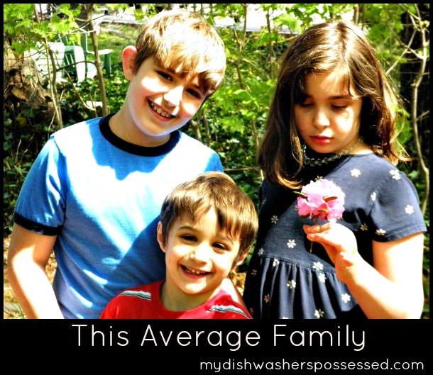 This Average Family