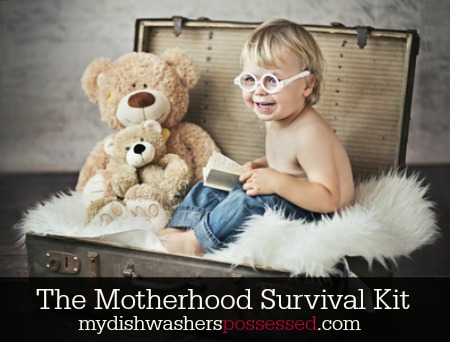 The Motherhood Survival Kit