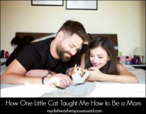 How One Little Cat Taught Me How to Be a Mom